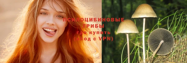 скорость mdpv Богородицк