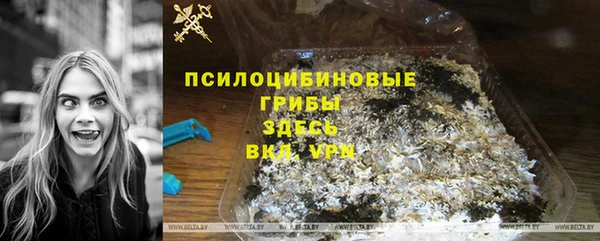 mdpv Богородск