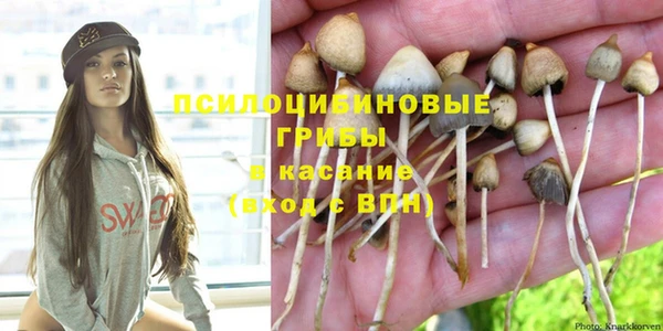 спиды Белоозёрский